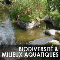 vignette biodiversite